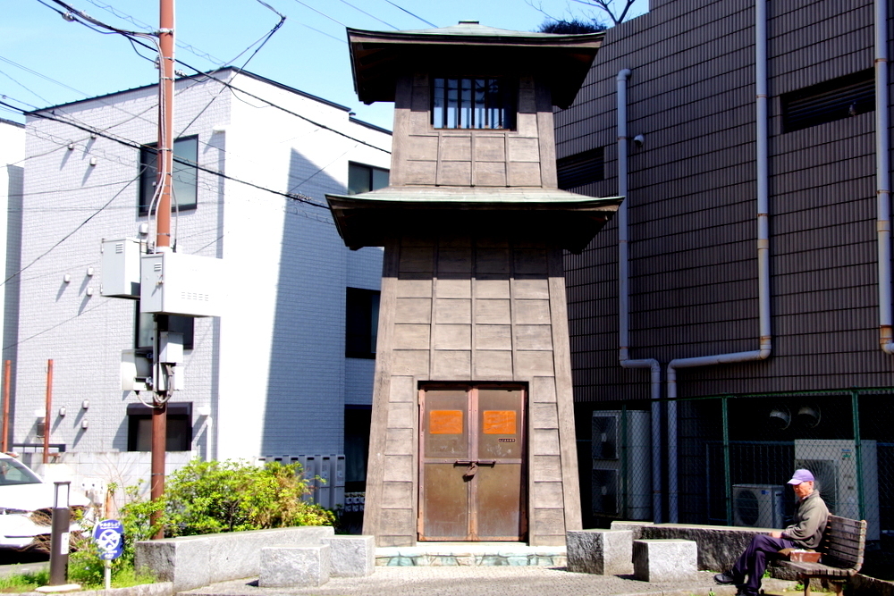 板橋宿と桜。 街で見かけろる草花